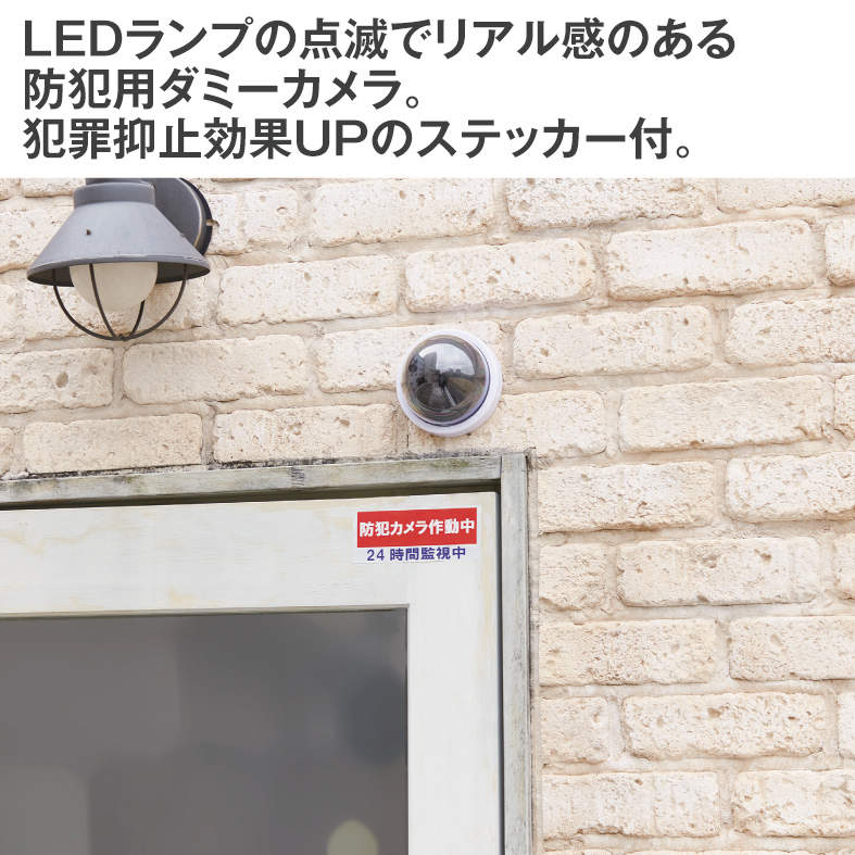 ﾀﾞﾐｰﾎﾞｳﾊﾝｶﾒﾗ(ｽﾃｯｶｰﾂｷ