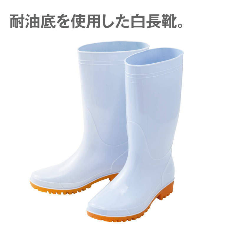 ｼﾛﾅｶﾞｸﾞﾂ